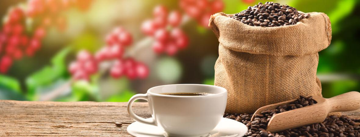 Bag of coffee beans and cup of coffee